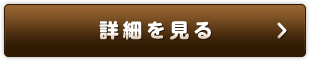 詳細を見る